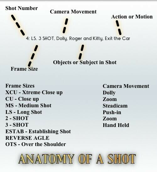 Anatomy of a Shot