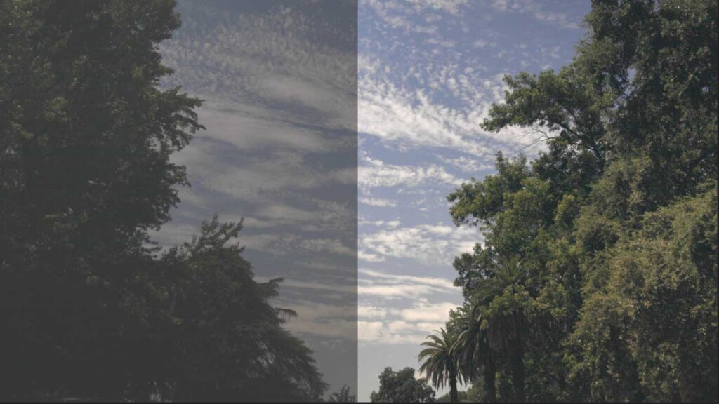 Log Video Difference